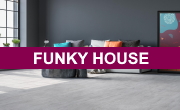 Art vinyl Funky House SPC